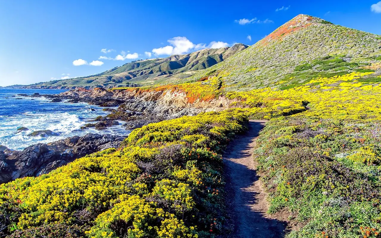 高精度智能智能系统